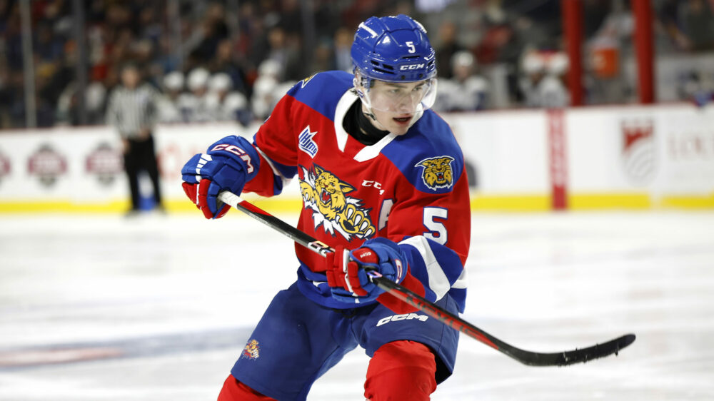 St John Sea Dogs v Moncton Wildcats