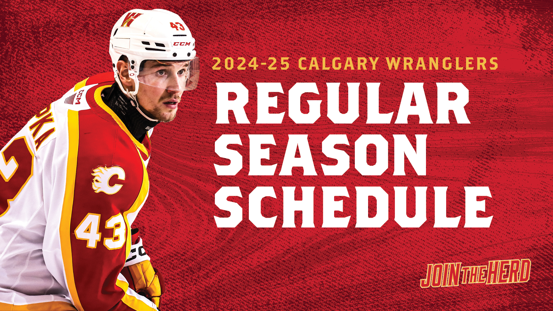 2024-2025 Schedule