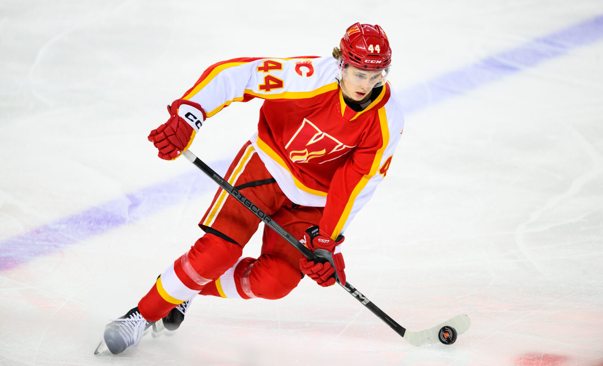 Calgary Wranglers vs. Coachella Valley Firebirds