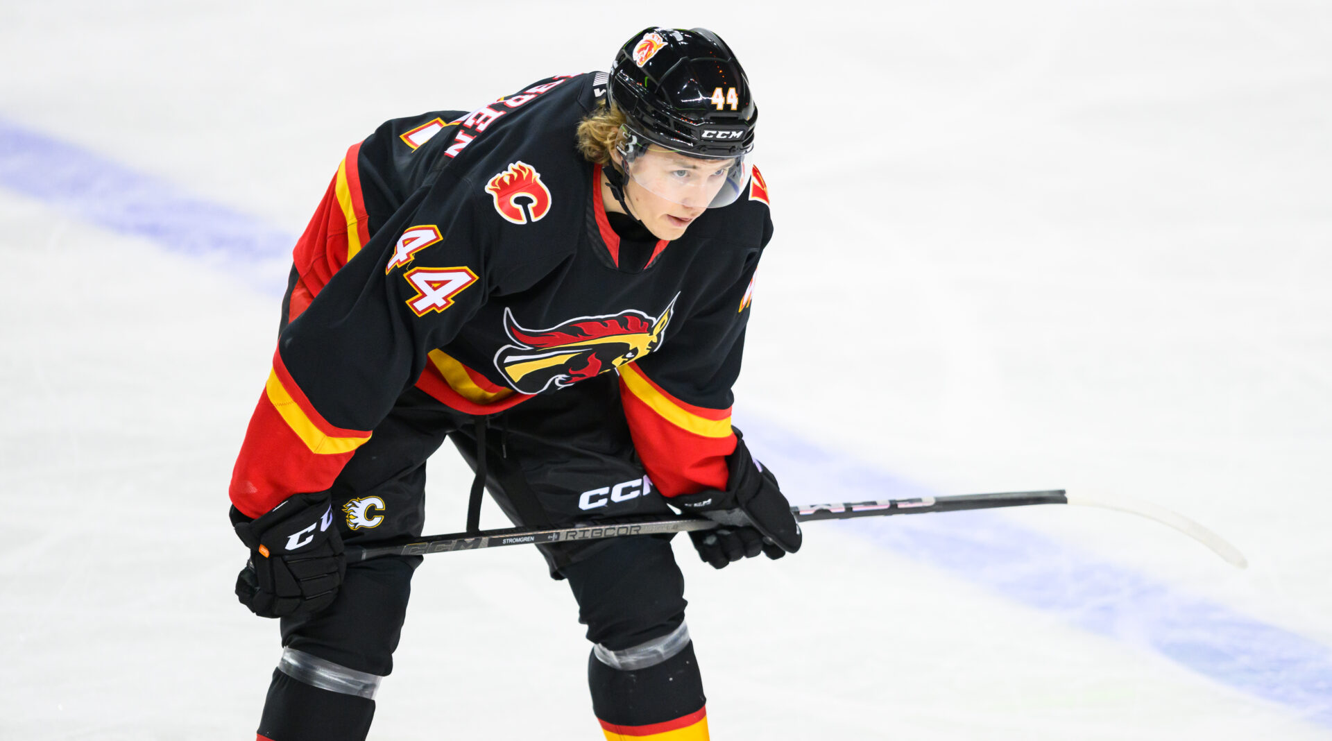 Calgary Wranglers vs. Manitoba Moose