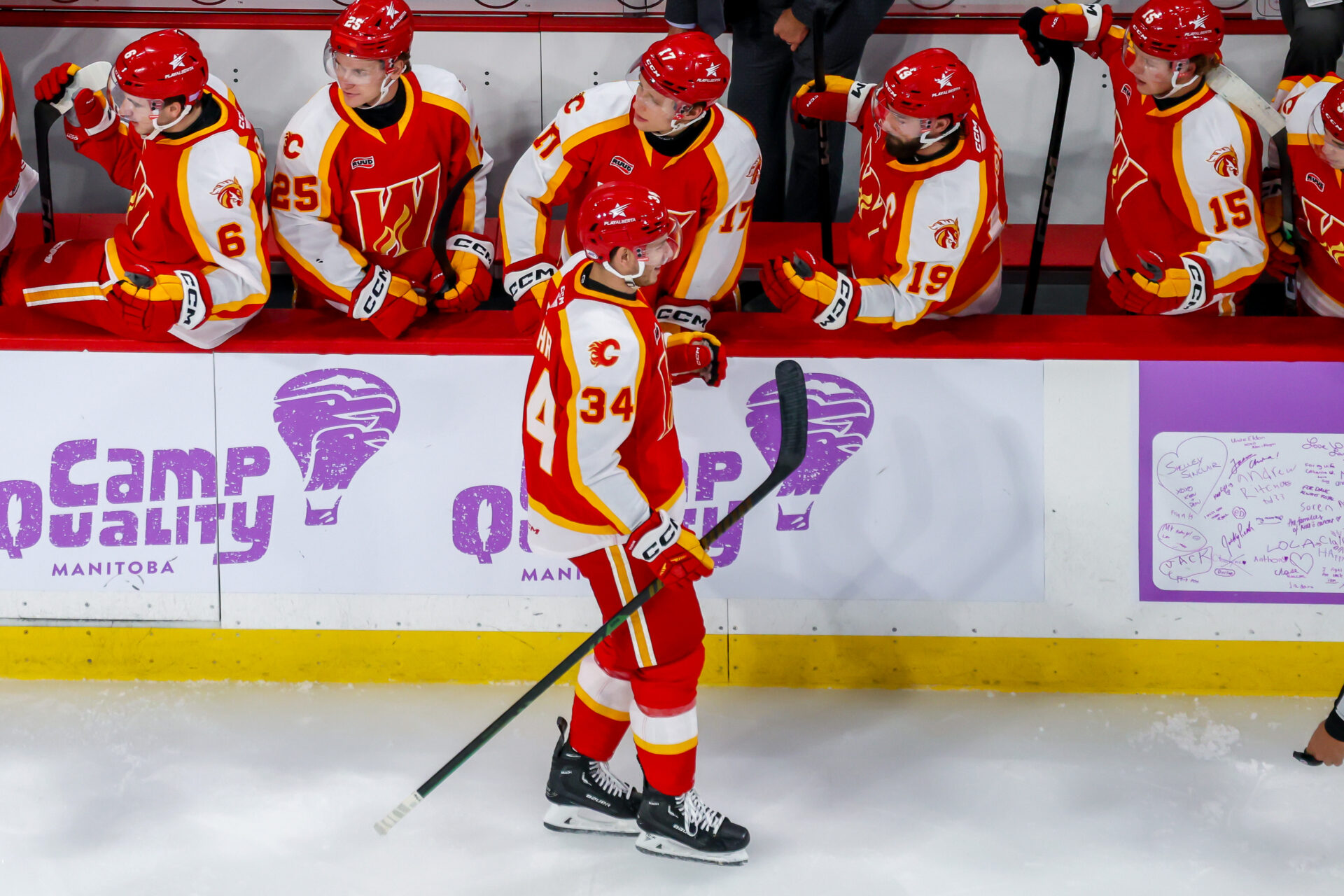 Calgary Wranglers vs Manitoba Moose