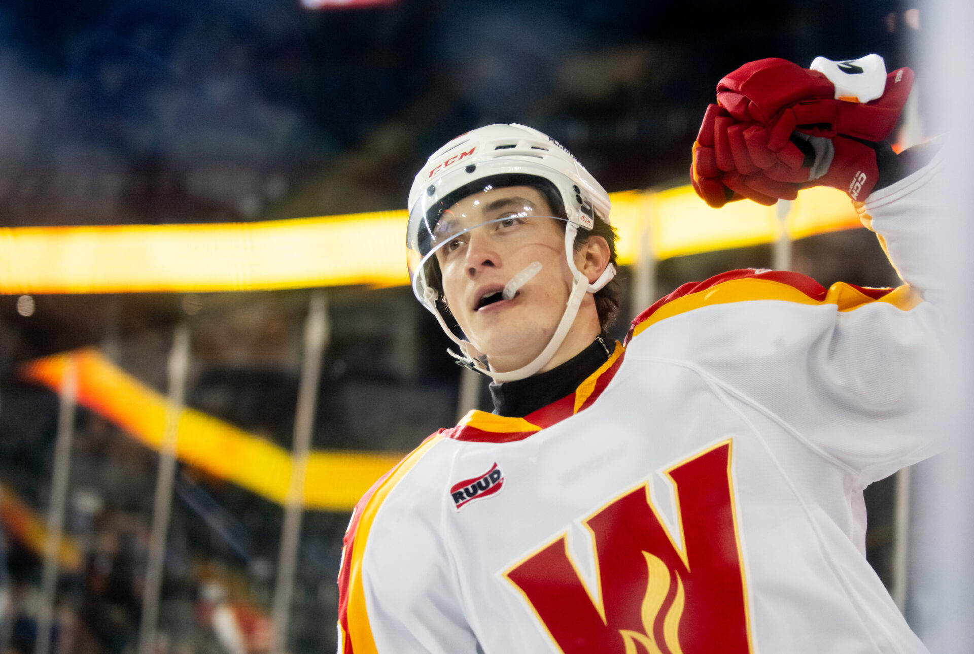 Calgary Wranglers vs Manitoba Moose