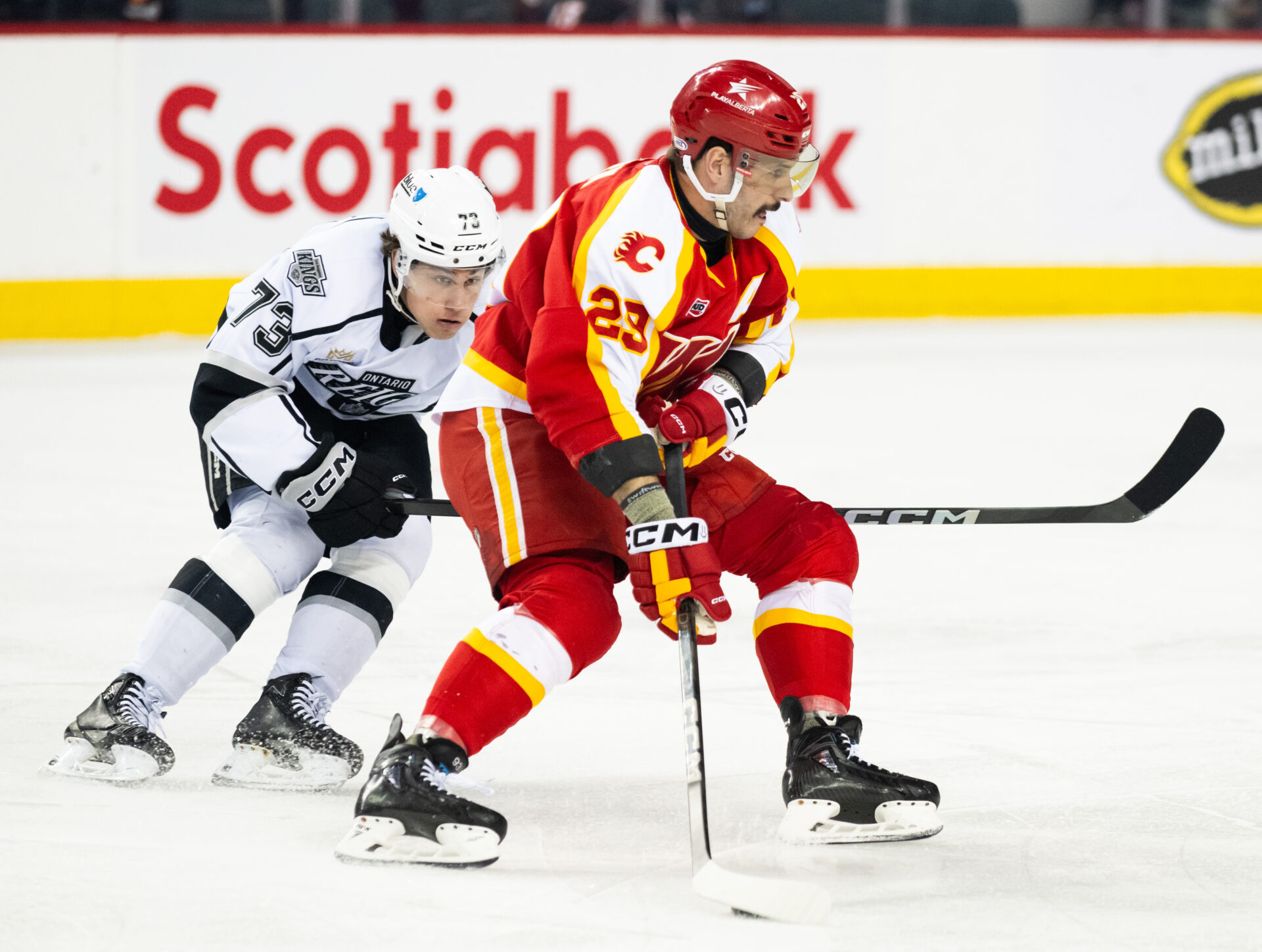 Calgary Wranglers vs Ontario Reign